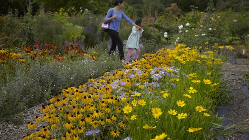 Family visitors in the garden at Osterley Park